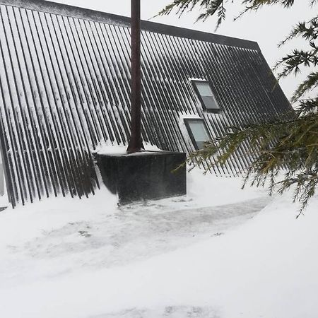 Chale Acolhedor - Penhas Da Saude - Serra Da Estrela Covilhã Exterior foto